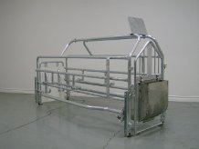 Farrowing crates